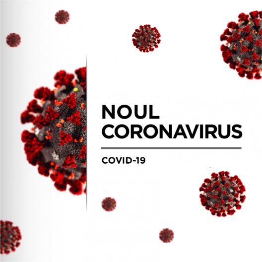 CORONAVIRUS 20L9-nCoV